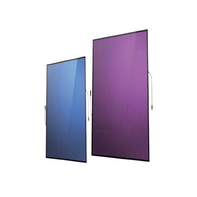 Perovskite Solar Modules